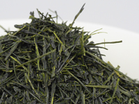 Sencha from Miyakonojô, Miyazaki, Oku-midori cultivar