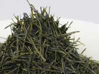 Sencha Hon.yama, Cultivar Shizu7132