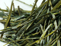 Sencha from Mariko, Kondo-wase cultivar