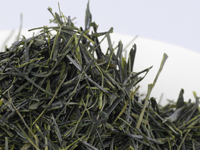 Sencha di Hon-yama, Tamakawa, cultivar Yamakai