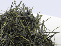 Sencha de Hon.yama, Takayama, Yamakai