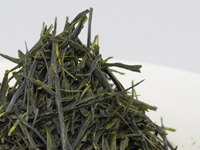 Sencha di Shimizu, cultivar Oku-Yutaka