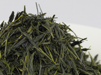Sencha di Shimizu, cultivar Kanaya-Midori