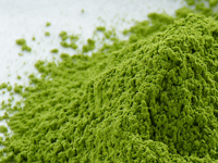 Matcha from Uji, for practice or cooking, 20 g (0.7 oz) packet