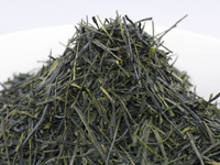 Sencha di Hon.yama, Ôkawa-Ôma, cultivar Yabukita