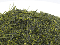 Sencha di Jôyô-machi, Yame, cultivar Oku-yutaka