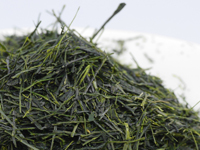 Traditional gyokuro from Hoshino, Yamakai cultivar