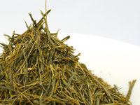“Green gold” sencha from Hon.yama, Ôkawa-Morokozawa, Kogane-midori cultivar