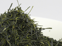 Sencha di Kawane, cultivar Oku-hikari