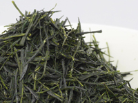 Sencha di Uji, Wazuka, cultivar Tsuyu-hikari