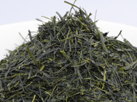 Sencha from Fuji, Kôshun cultivar