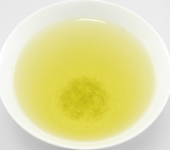 Sencha from Fuji, Kôshun cultivar