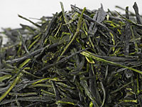 Kabuse-cha di Uji, Wazuka, cultivar Uji-midori