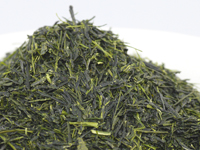 Sencha from Hoshino, Yame, Fuji-midori & Oku-midori cultivar
