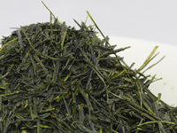 Sencha aus Kawane, cultivar Yabukita