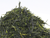 Gyokuro from Uji-Shirakawa, Gokô cultivar