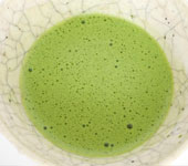 Matcha from Uji-Shirakawa, Samidori cultivar