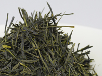 Sencha di Tenryù, Misakubo, cultivar Yabukita