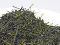 Sencha di Tenryù, Tatsuyama, cultivar Koshun