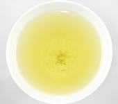 Sencha di Tenryù, Tatsuyama, cultivar Koshun