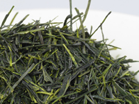 Sencha from Uji, Dôsenbô, Oku-midori cultivar
