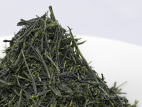 Uji gyokuro from Kyô-Tanabe, Gokô cultivar
