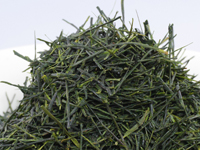 Sencha di Sayama, cultivar Yume-Wakaba