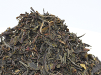 Black tea from Kawane, Kôshun cultivar