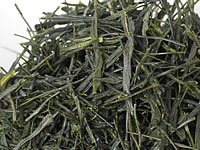 Sencha de Mariko, cultivar Kanaya-midori