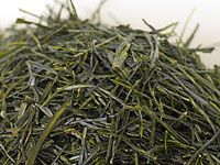 Sencha from Osaka, Kondô-wase cultivar