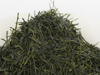 Sencha di Uji, Uji Tawara, cultivar Yabukita.