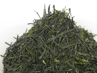 Kabuse-cha di Uji, Wazuka, cultivar Sayama-kaori