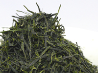Gyokuro from Uji-Shirakawa, Uji-hikari cultivar