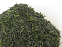 Uji Gyokuro from Uji-Tawara,