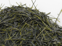 Sencha de Fujieda, cultivar Fuji-kaori