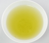 Sencha de Fujieda, cultivar Fuji-kaori