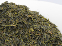 根洗 煎茶 静-印雑131