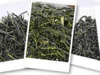 Thés du Japon discovery set : The main types of Japanese tea