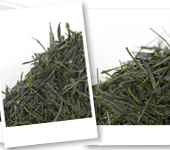 Thés du Japon discovery set : The main types of Japanese tea
