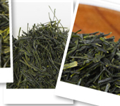 Thés du Japon discovery set : The Yabukita cultivar