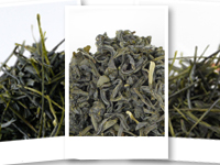 Thés du Japon discovery set : Tea cultivars