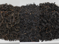 Three smoked black tea from Shizuoka, Fuji-san Souchong, Whisky, Pine, Apple
