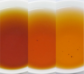 Three smoked black tea from Shizuoka, Fuji-san Souchong, Whisky, Pine, Apple