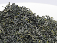 Kama-iri cha de Kumamoto, Ashikita, cultivar Kôshun