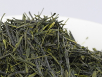 Sencha from Shimizu, Ômune cultivar