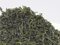 Kama-iri cha from Takachiho, Yamanami cultivar