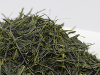 Sencha di Kawane, Aobe, cultivar Yabukita