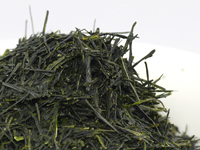 Kabuse-cha de Asamiya, cultivar Kôshun