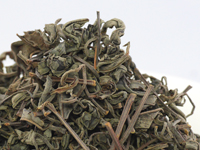 Black tea from Gokase, Benihikari cultivar, 2017 first flush