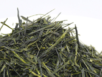 Sencha from Kawane, Moto-Fujikawa, Shizu-7132 cultivar